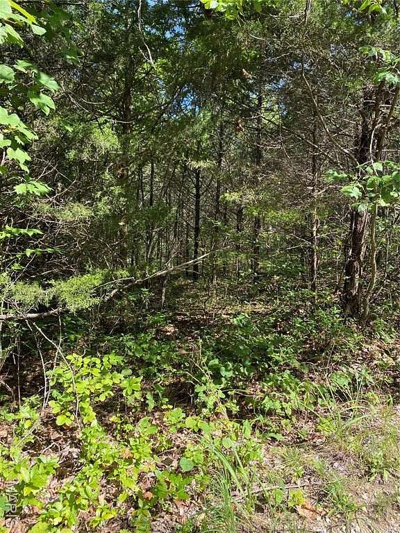 72.6 Acres of Recreational Land for Sale in De Soto, Missouri