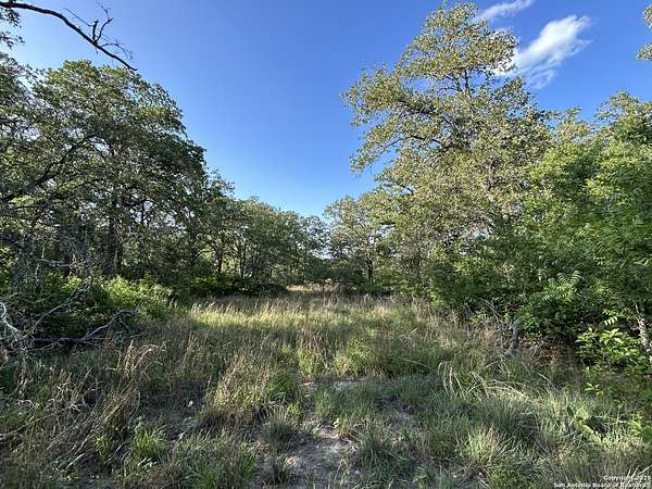 6 Acres of Land for Sale in La Vernia, Texas