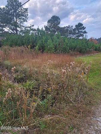 5.14 Acres of Land for Sale in Holly Ridge, North Carolina