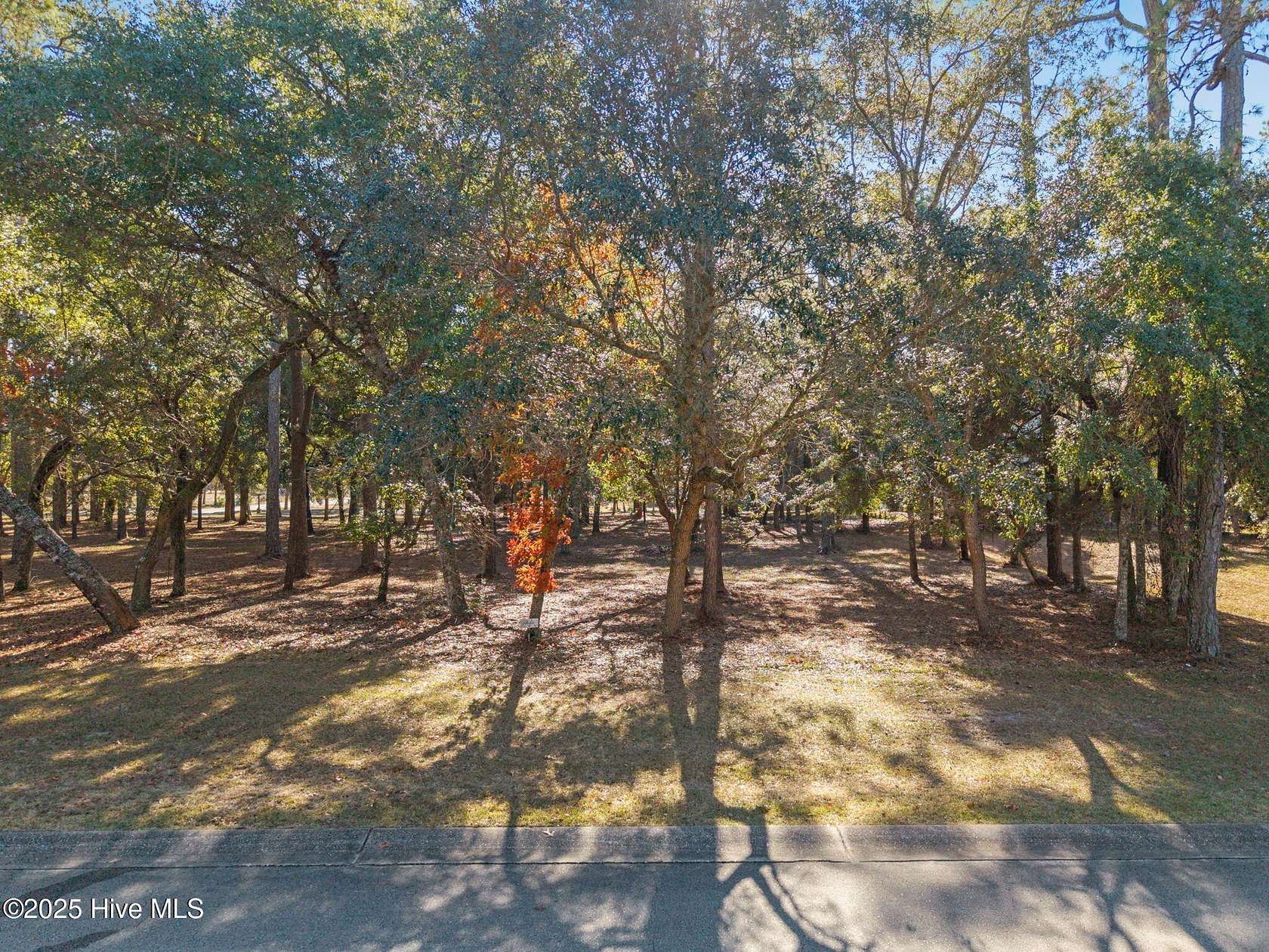 0.34 Acres of Residential Land for Sale in Supply, North Carolina