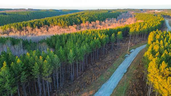 9 Acres of Residential Land for Sale in Hohenwald, Tennessee