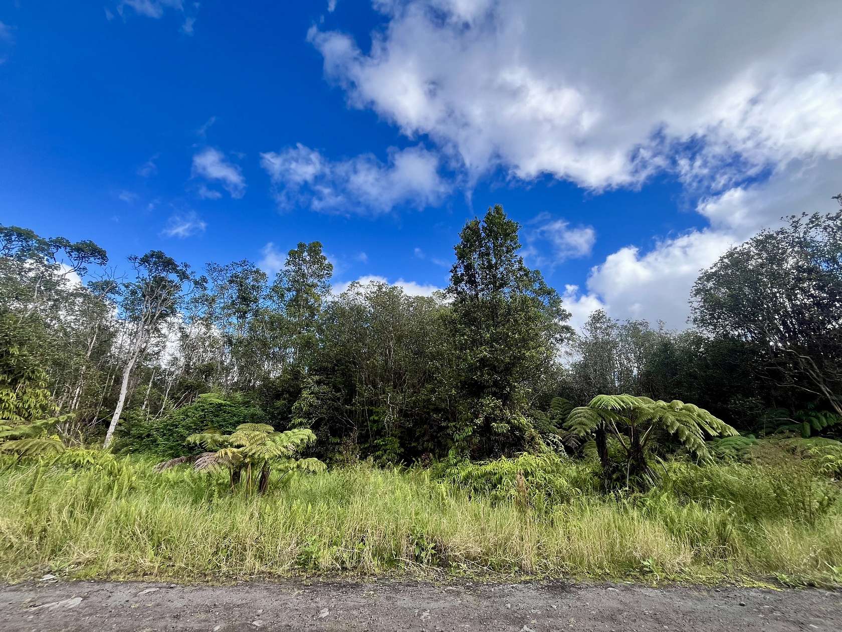 0.28 Acres of Residential Land for Sale in Volcano, Hawaii