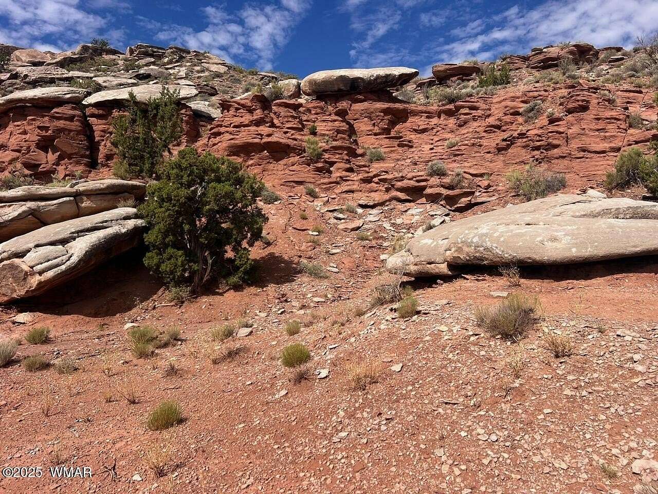 41.9 Acres of Recreational Land for Sale in Snowflake, Arizona