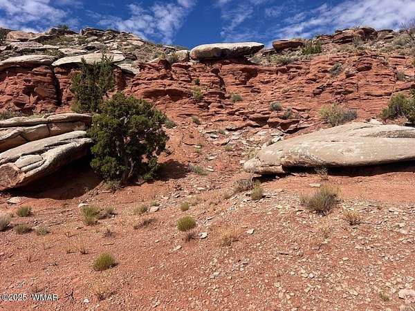 41.9 Acres of Recreational Land for Sale in Snowflake, Arizona