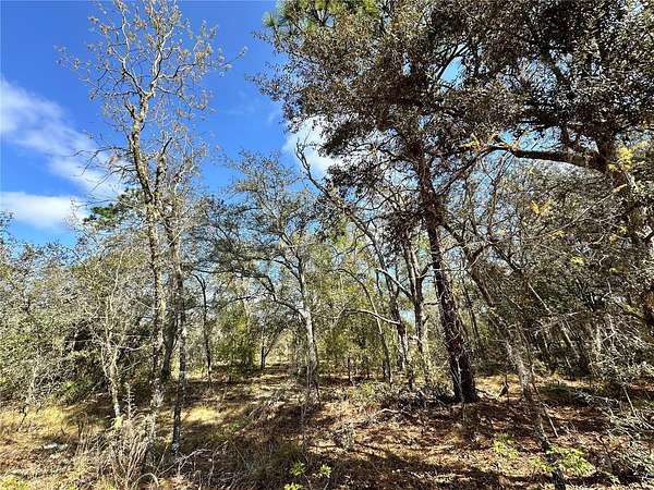 0.24 Acres of Residential Land for Sale in Bronson, Florida
