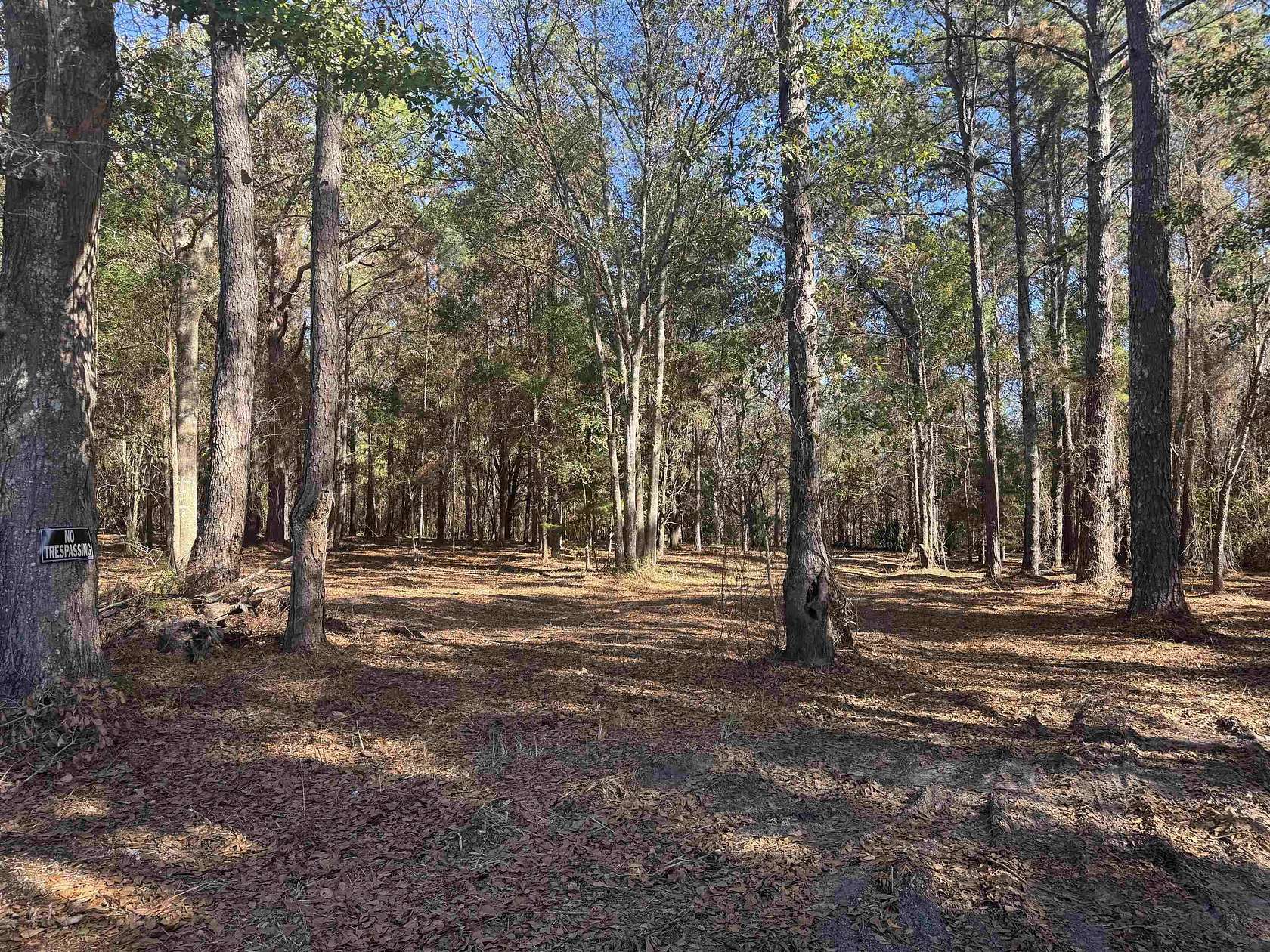8 Acres of Land for Sale in Havana, Florida