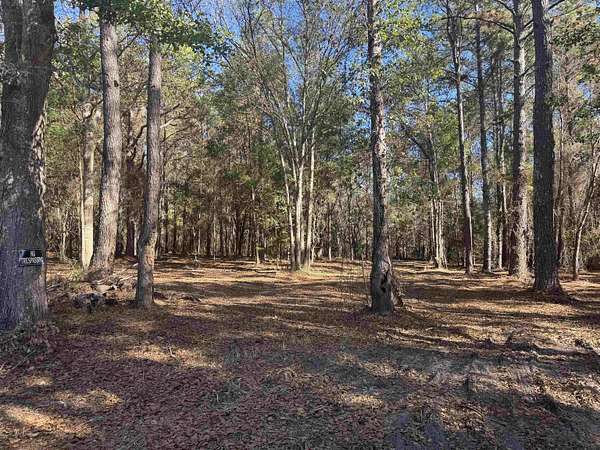 8 Acres of Land for Sale in Havana, Florida