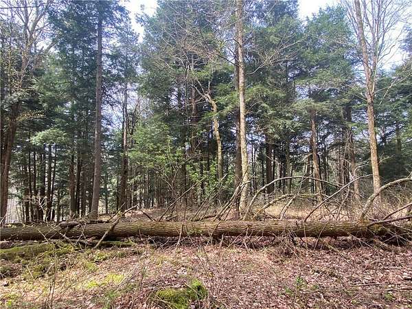 9 Acres of Residential Land for Sale in Hartwick, New York