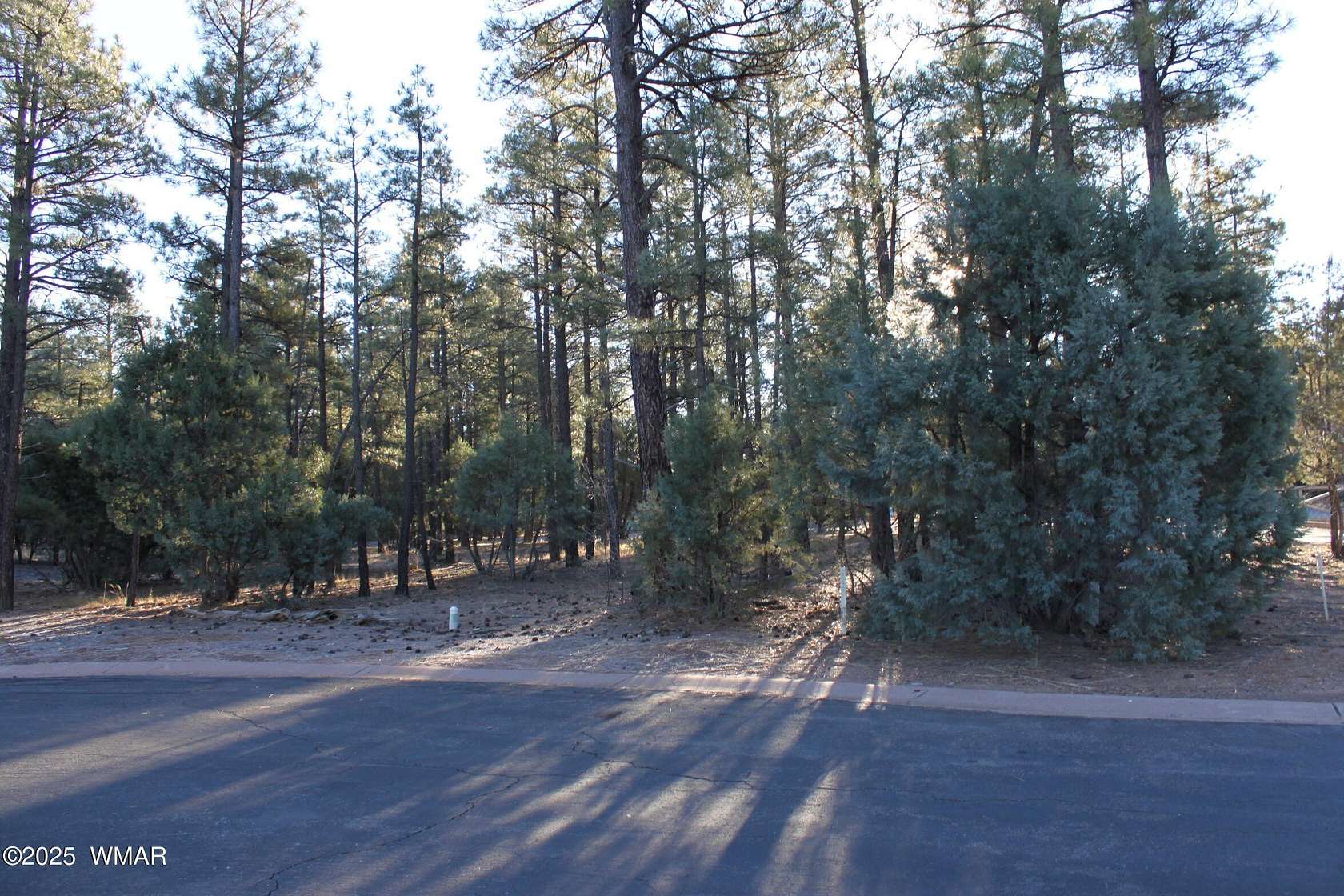 0.23 Acres of Residential Land for Sale in Show Low, Arizona