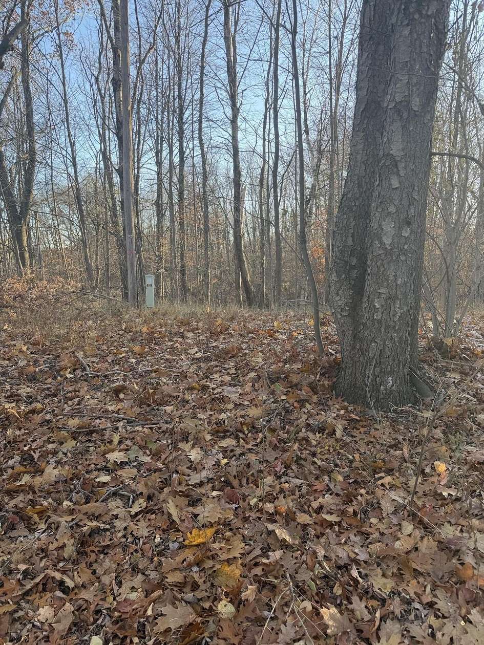 3.79 Acres of Residential Land for Sale in Paris, Michigan
