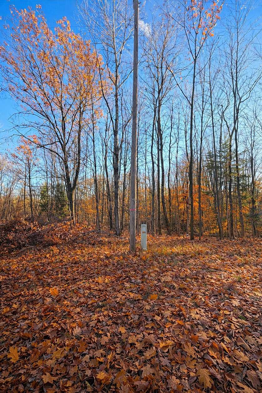 3.79 Acres of Residential Land for Sale in Paris, Michigan