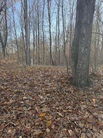 3.79 Acres of Residential Land for Sale in Paris, Michigan