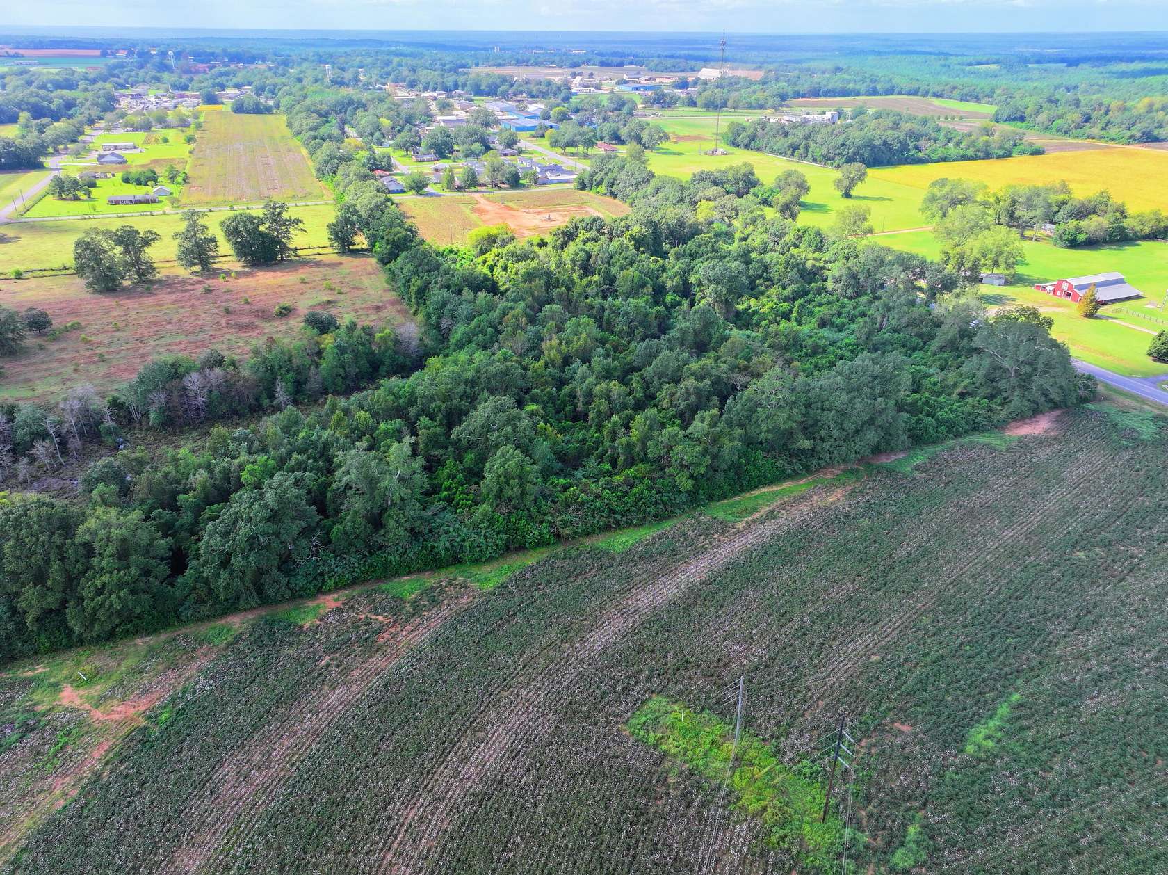 7.73 Acres of Land for Sale in Jay, Florida