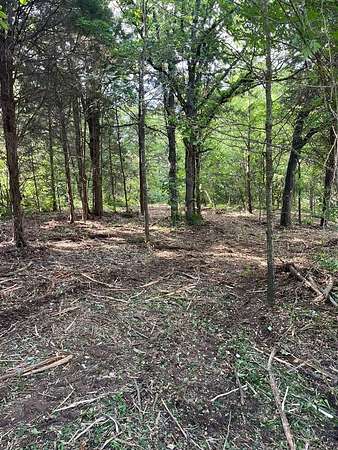 0.12 Acres of Residential Land for Sale in Mabank, Texas