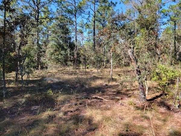 1.25 Acres of Residential Land for Sale in Morriston, Florida