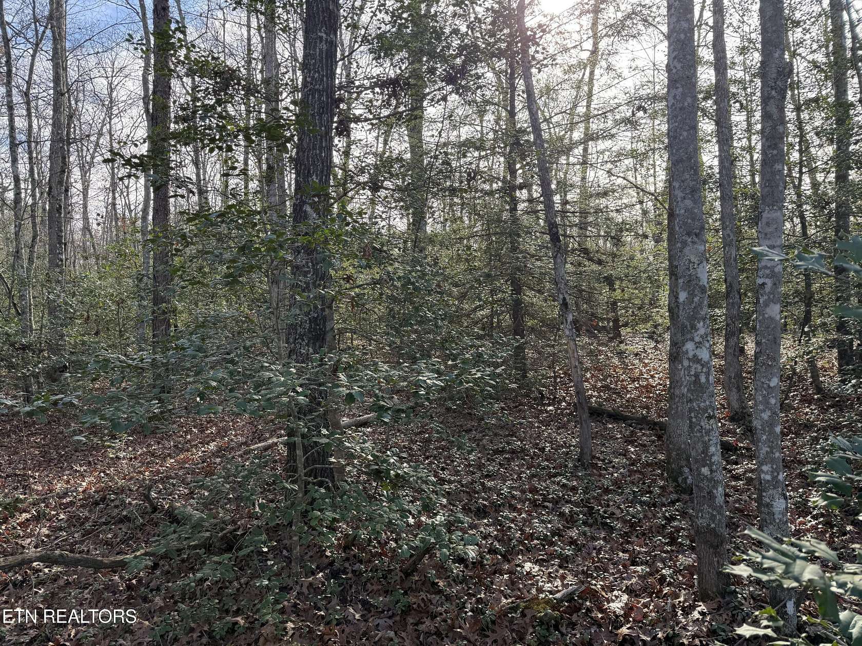 5 Acres of Residential Land for Sale in Monterey, Tennessee