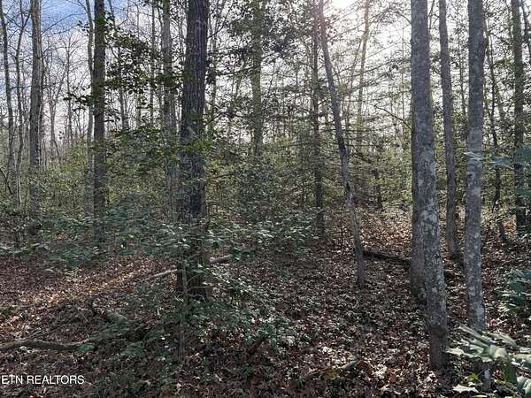 5 Acres of Residential Land for Sale in Monterey, Tennessee