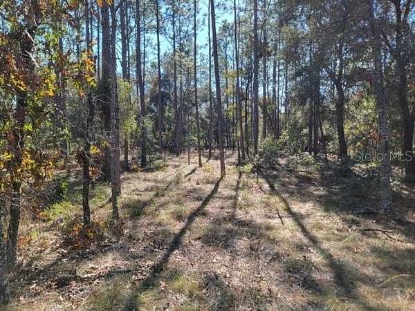 1.25 Acres of Residential Land for Sale in Morriston, Florida