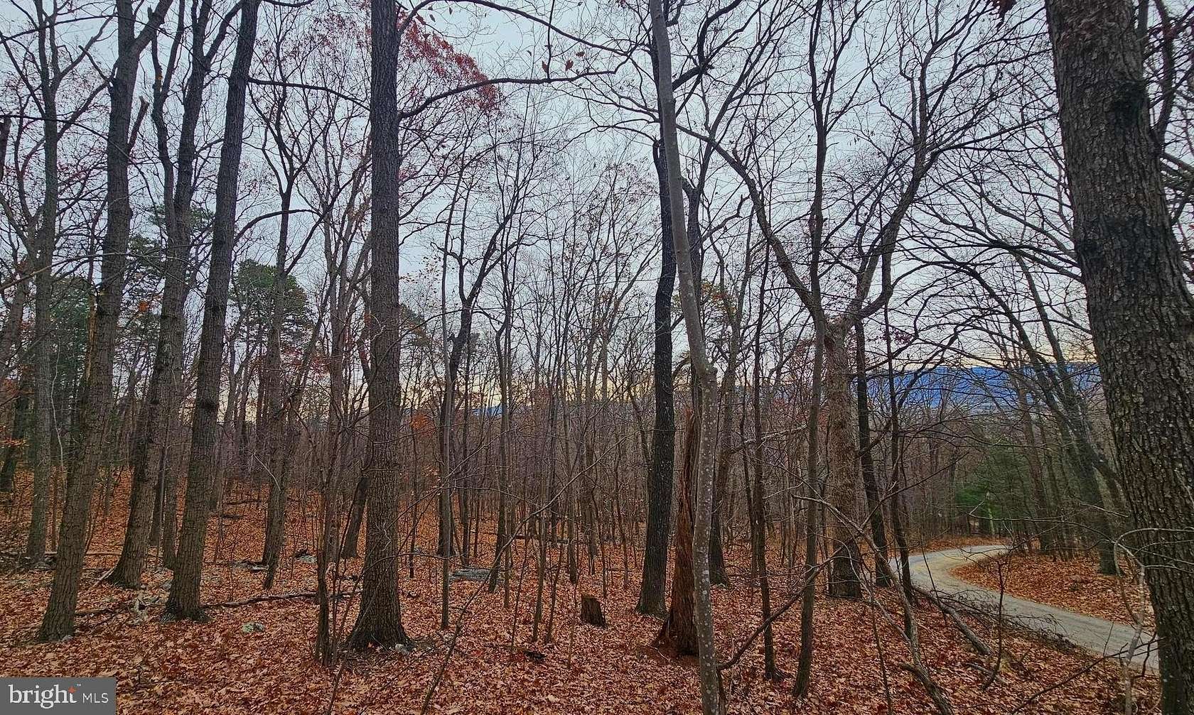 1 Acre of Residential Land for Sale in Luray, Virginia