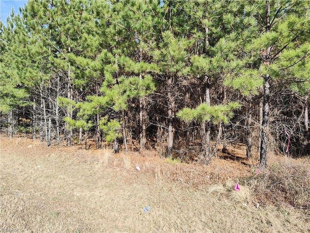 1.33 Acres of Residential Land for Sale in Jackson Springs, North Carolina