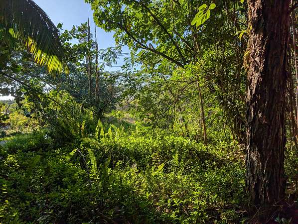 1 Acre of Land for Sale in Keaau, Hawaii