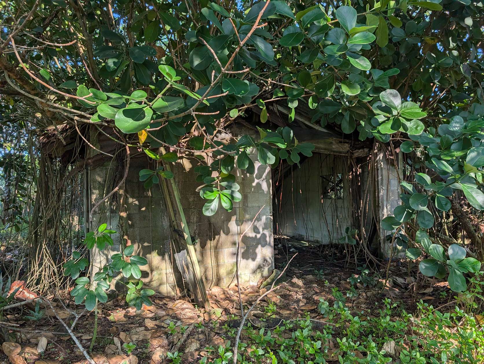 1 Acre of Land for Sale in Keaau, Hawaii