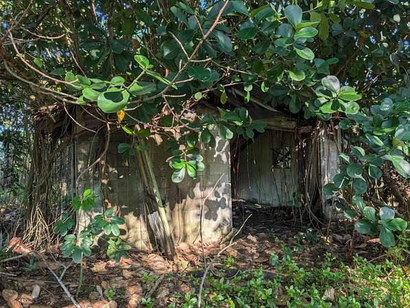 1 Acre of Land for Sale in Keaau, Hawaii