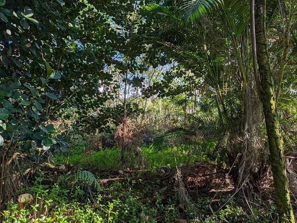 1 Acre of Land for Sale in Keaau, Hawaii