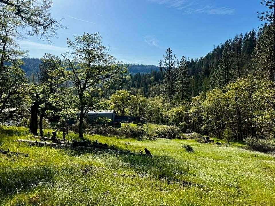 13.4 Acres of Recreational Land with Home for Sale in Trail, Oregon
