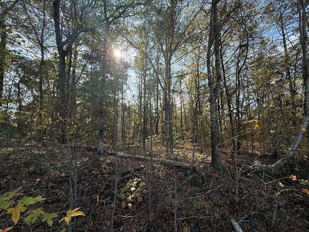 2 Acres of Land for Sale in Smiths Station, Alabama