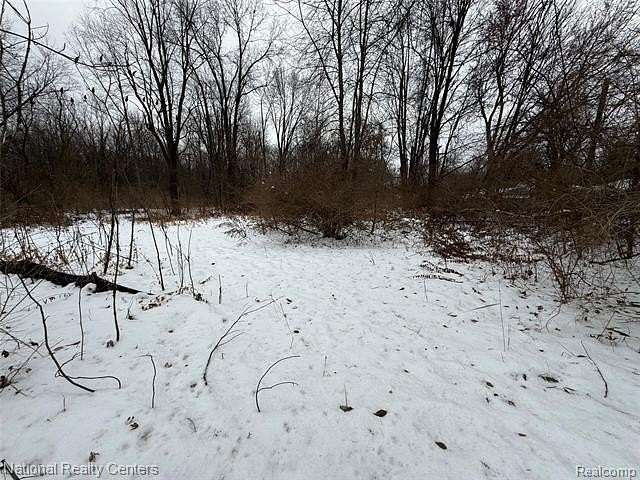 0.65 Acres of Residential Land for Sale in Romulus, Michigan