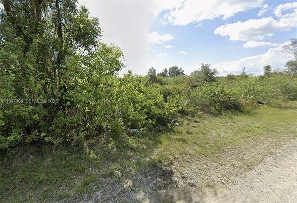 Residential Land for Sale in Lehigh Acres, Florida