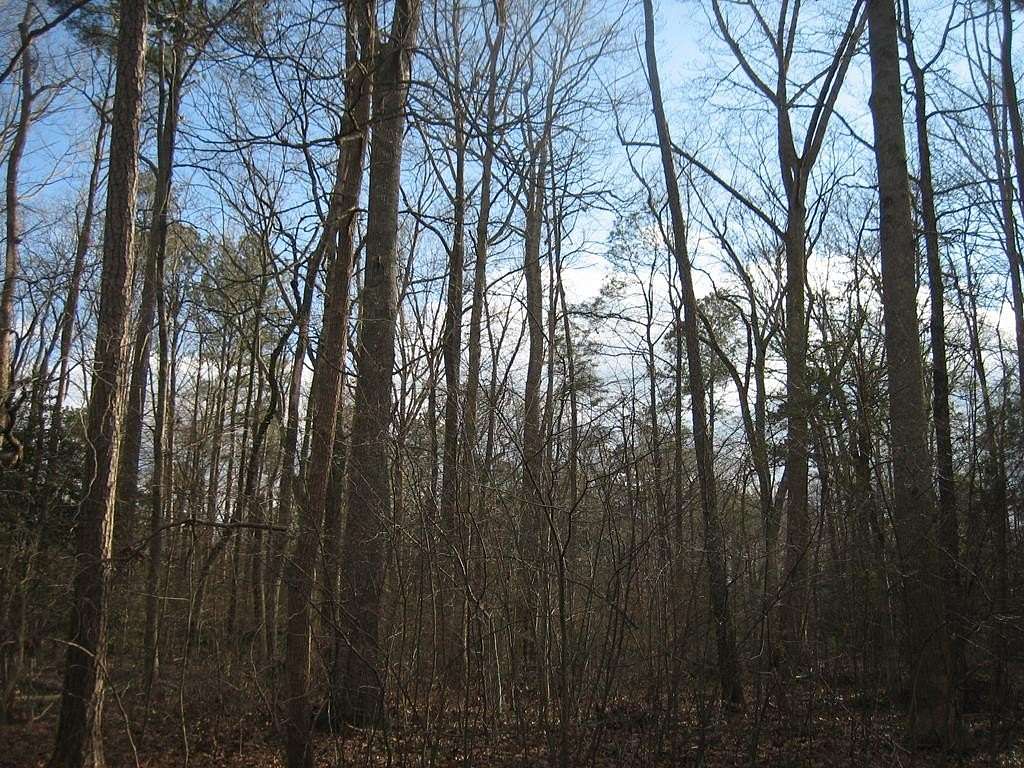 0.22 Acres of Land for Sale in Greenbackville, Virginia