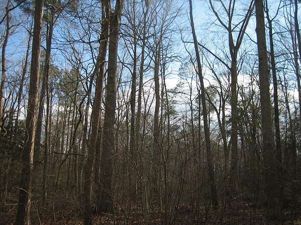 0.22 Acres of Land for Sale in Greenbackville, Virginia