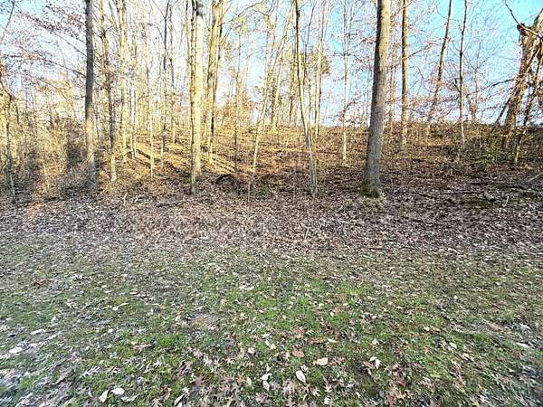 1 Acre of Land for Sale in Strawberry Plains, Tennessee