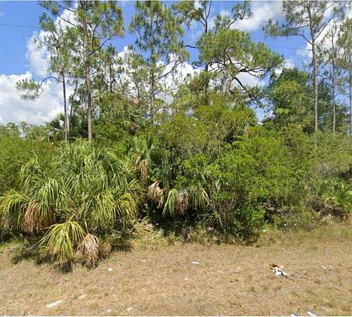0.34 Acres of Residential Land for Sale in Lehigh Acres, Florida