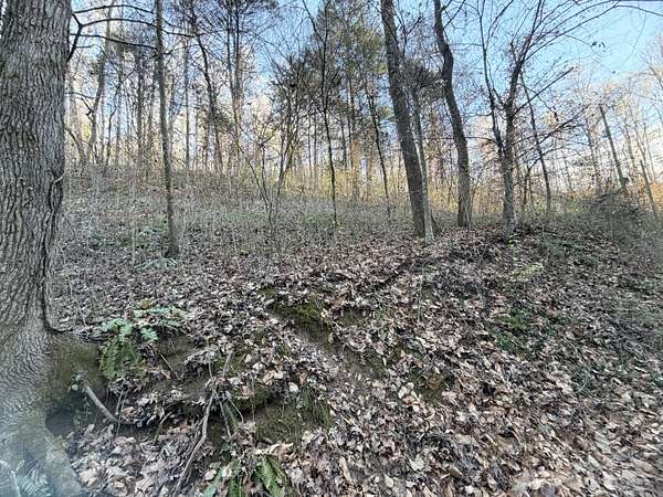1 Acre of Land for Sale in Strawberry Plains, Tennessee