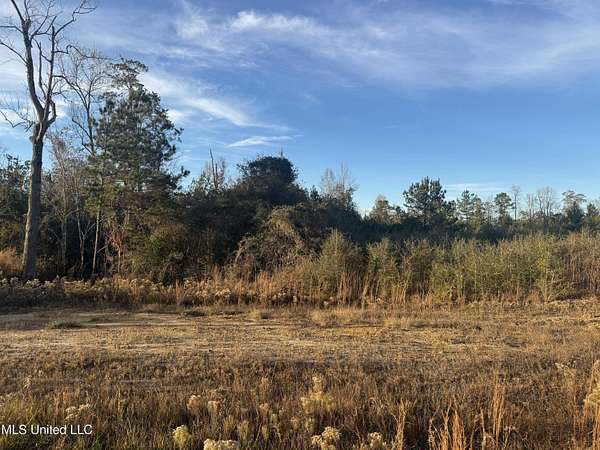 8 Acres of Residential Land for Sale in McHenry, Mississippi