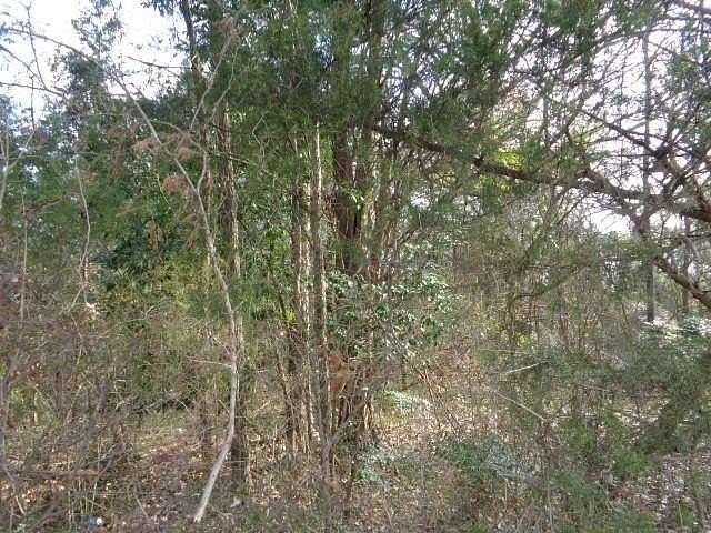 6.74 Acres of Mixed-Use Land for Sale in Winnsboro, Texas