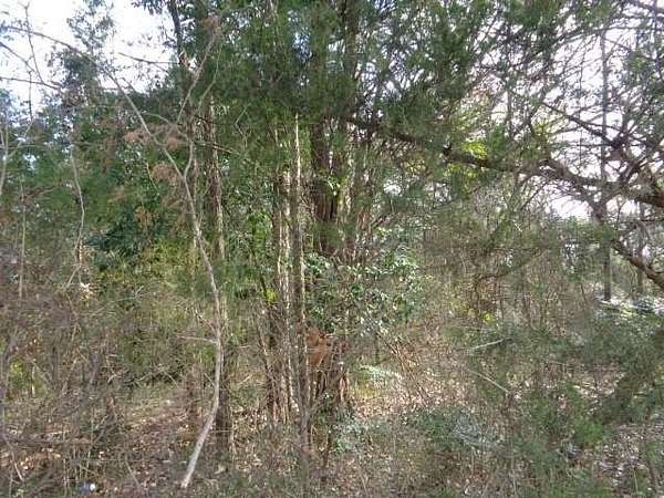 6.74 Acres of Mixed-Use Land for Sale in Winnsboro, Texas