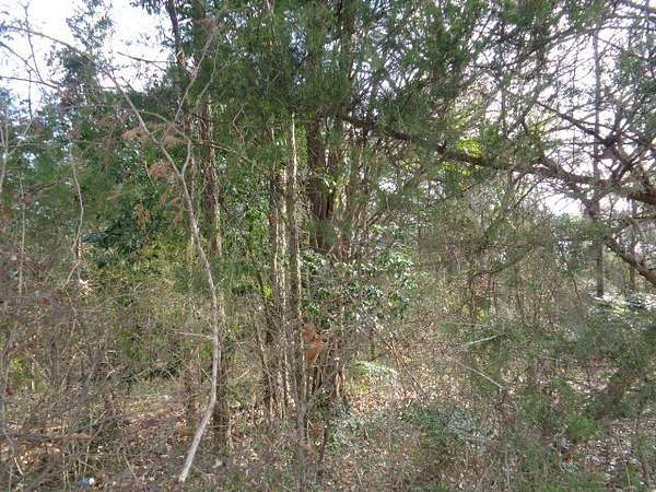 6.74 Acres of Mixed-Use Land for Sale in Winnsboro, Texas