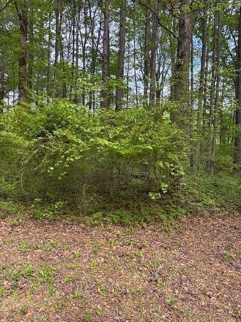 Residential Land for Sale in Sipsey, Alabama