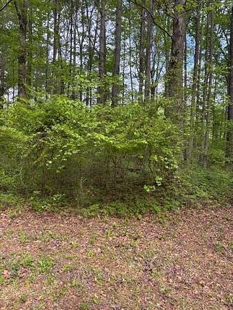 Residential Land for Sale in Sipsey, Alabama