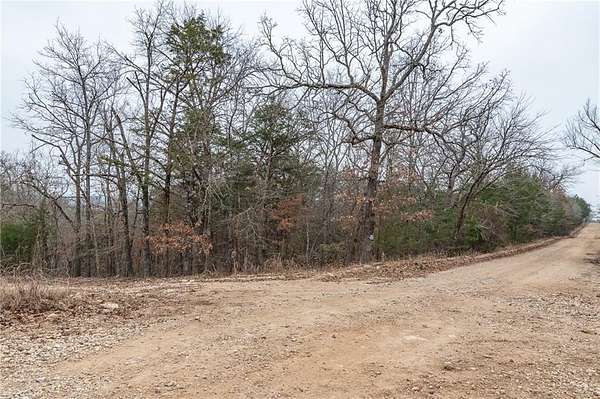 11.8 Acres of Recreational Land for Sale in Diamond City, Arkansas