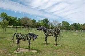 1 Acre of Residential Land for Sale in Denison, Texas