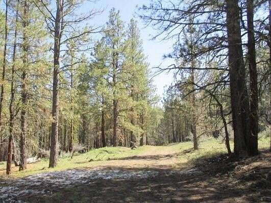 4 Acres of Residential Land for Sale in Beatty, Oregon