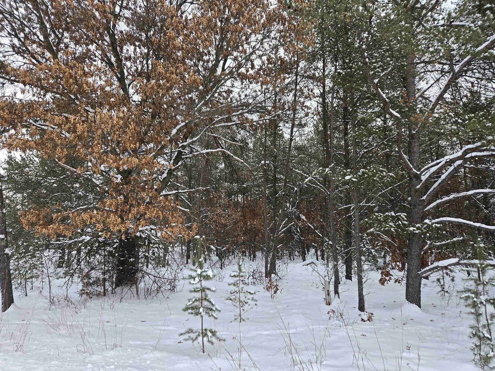 1.84 Acres of Residential Land for Sale in Necedah, Wisconsin