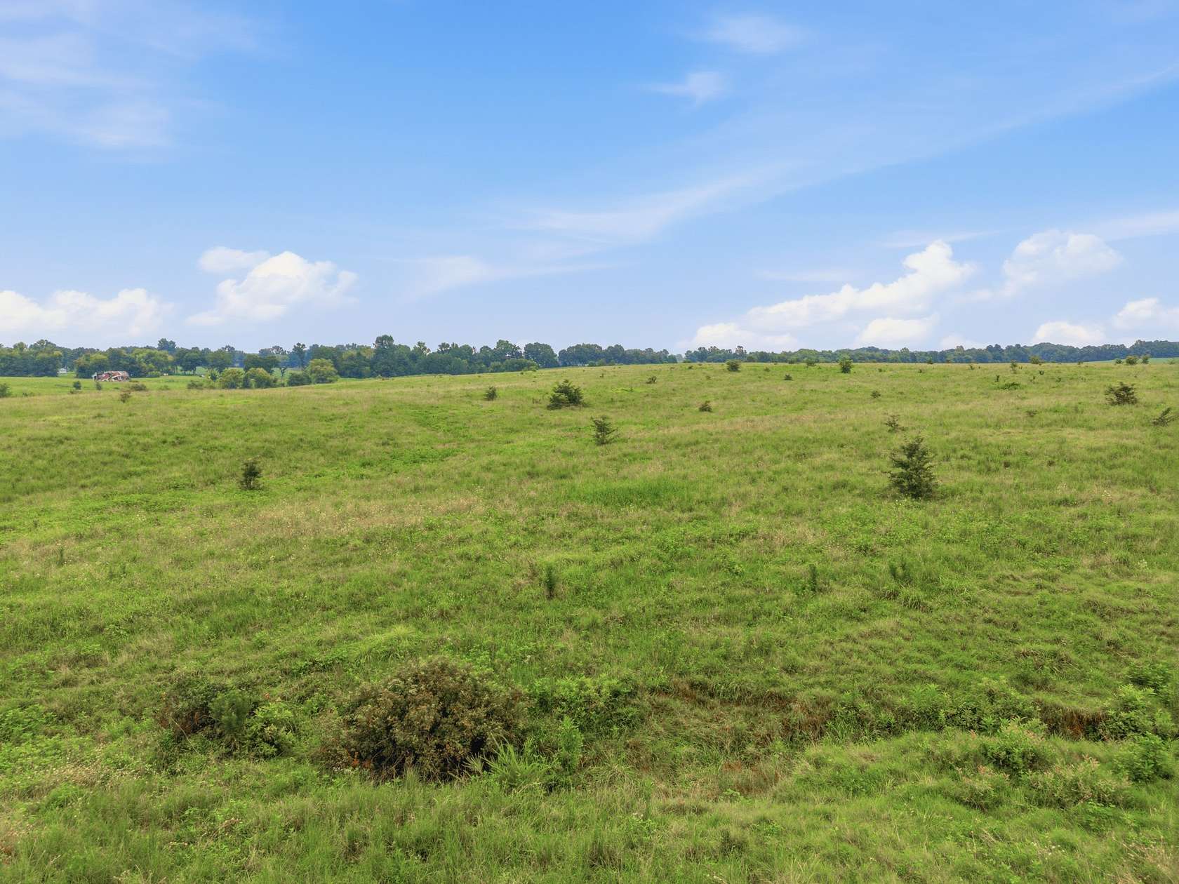 46.9 Acres of Agricultural Land for Sale in Indian Mound, Tennessee