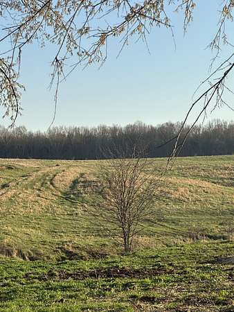 46.9 Acres of Land for Sale in Indian Mound, Tennessee