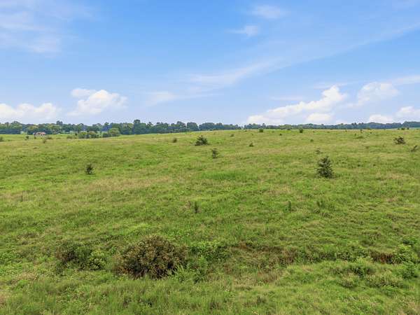 46.9 Acres of Agricultural Land for Sale in Indian Mound, Tennessee